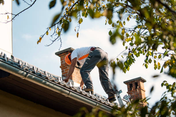 Best Roof Gutter Cleaning  in Albemarle, NC