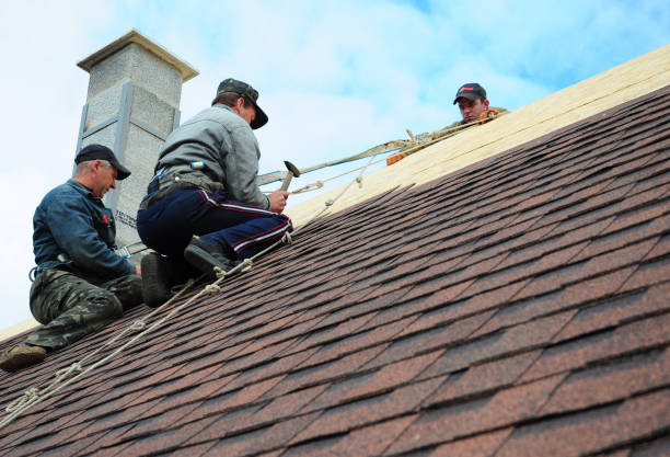 Best Metal Roofing Contractor  in Albemarle, NC